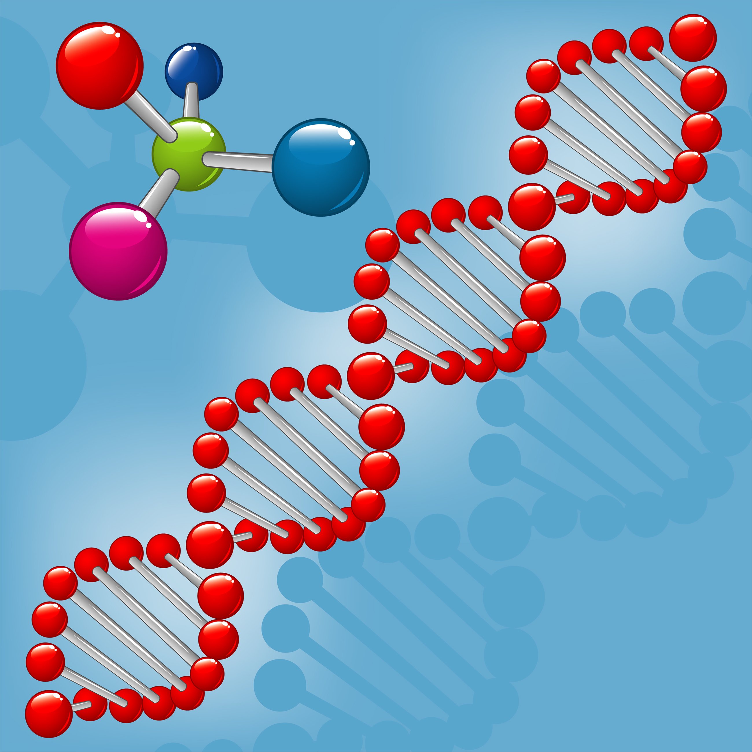 Molecule DNA